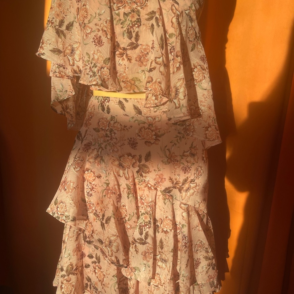 Set Dress - image 3